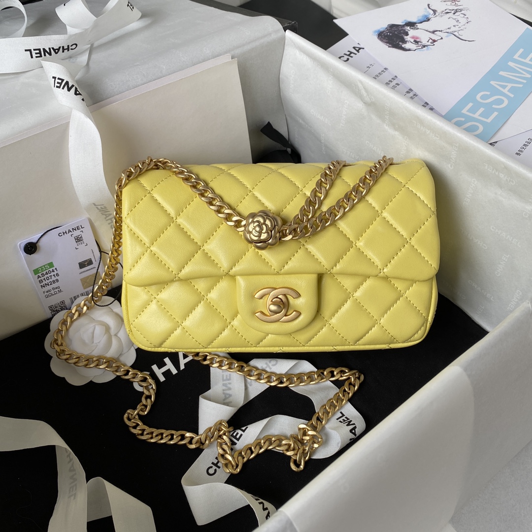 Chanel Handbags 2023-24FW, Pink